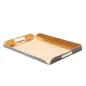 PLATEAUX AVEC ANSES 750 G/M2 28x19+2 CM OR/NOIR CARTON (25 UNITÉ) PLATEAUX AVEC ANSES