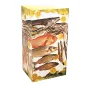 CARTE EN 3 VOLETS "POISSON" 47x30 CM ASSORTI CARTON (1 UNITÉ) CARTE EN 3 VOLETS "POISSON"