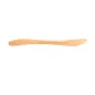 MINI CUILLÈRES BAMBOO 9 CM NATUREL BAMBOU (50 UNITÉ) MINI CUILLÈRES
