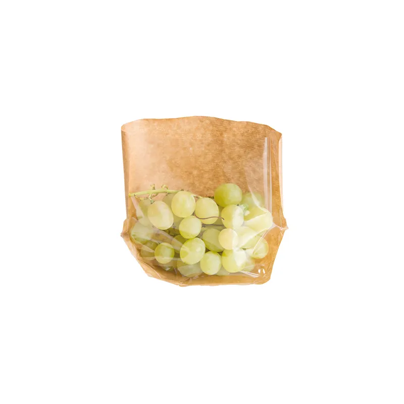 RÉCIPIENTS AVEC BASE ET FENÊTRE 'TURTLE PACK' 50 G/M2 + 15 PP 20+4/4x15 CM NATUREL KRAFT (100 UNITÉ)