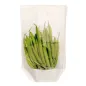 RÉCIPIENTS AVEC BASE ET FENÊTRE