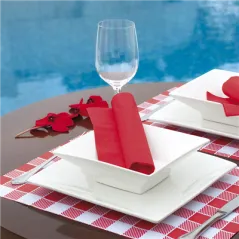 SETS DE TABLE 'VICHY' 48 G/M2 31x43 CM BLANC CELLULOSE (2000 UNITÉ)