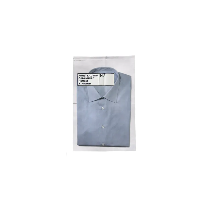 SACS POUR LINGE PROPRE  40µ 30x45 CM TRANSPARENT PP (500 UNITÉ)