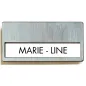 PLAQUES D'IDENTIFICATION 6,7x4 CM ARGENTE PLASTIQUE (25 UNITÉ) PLAQUES D'IDENTIFICATION