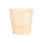 MINI VERRES EN FEUILLE DE PEUPLIER