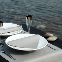 SETS DE TABLE 'DRY COTTON' 55 G/M2 30x40 CM GRAPHITE AIRLAID (800 UNITÉ)