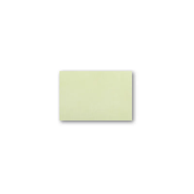 SETS DE TABLE 'DRY COTTON' 55 G/M2 30x40 CM KIWI AIRLAID (800 UNITÉ)
