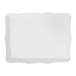 PLATEAUX SELF-SERVICE MICRO-CANNEL 24x31 CM BLANC MICROCANAL (50 UNITÉ) PLATEAUX SELF-SERVICE MICRO-CANNEL