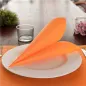 SERVIETTES ECOLABEL