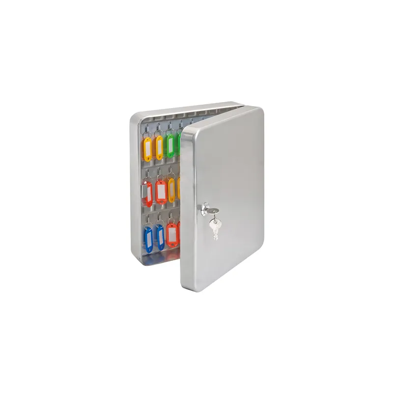 ARMOIRE 45 CLÉS   30x24x8 CM GRIS METAL (1 UNITÉ)