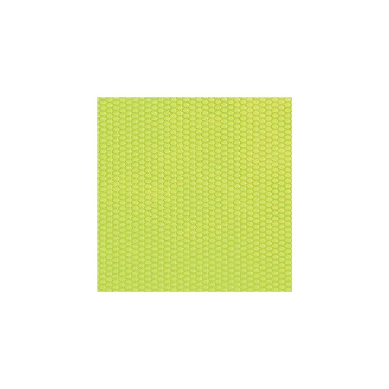 SETS DE TABLE  80 G/M2 30x40 CM LIME PP (500 UNITÉ)