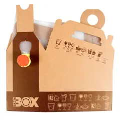 BAG IN BOX