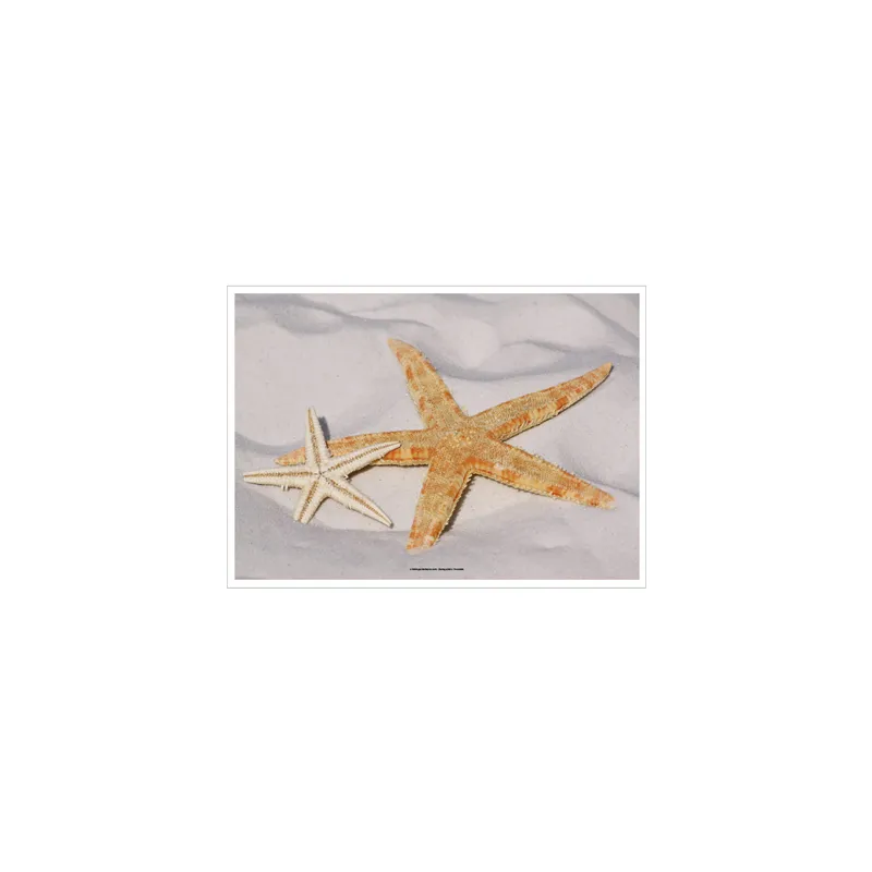 SETS DE TABLE OFFSET 'STARFISH' 70 G/M2 31x43 CM QUADRICHROMIE CELLULOSE (2000 UNITÉ)