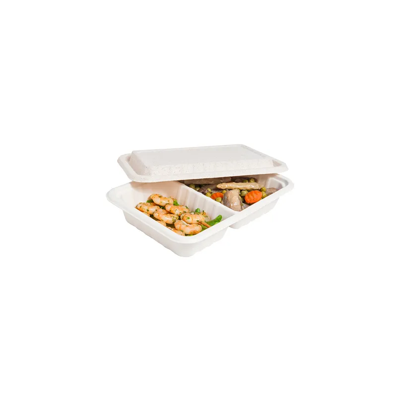 PLATEAUX 2 COMPART + COUVERCLE BIONIC 800 ML 23,3x14,6x6 CM NATUREL BAGASSE (400 UNITÉ)