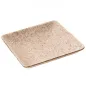 RÉCIPIENTS MISE EN BOUCHE BIONIC NATUREL BAGASSE (1000 UNITÉ) RÉCIPIENTS MISE EN BOUCHE