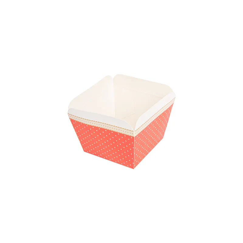 DELI-BARQUETTES  210 + 15 PE G/M2 4,8x4,8x4,9 CM ASSORTI CARTON (100 UNITÉ)