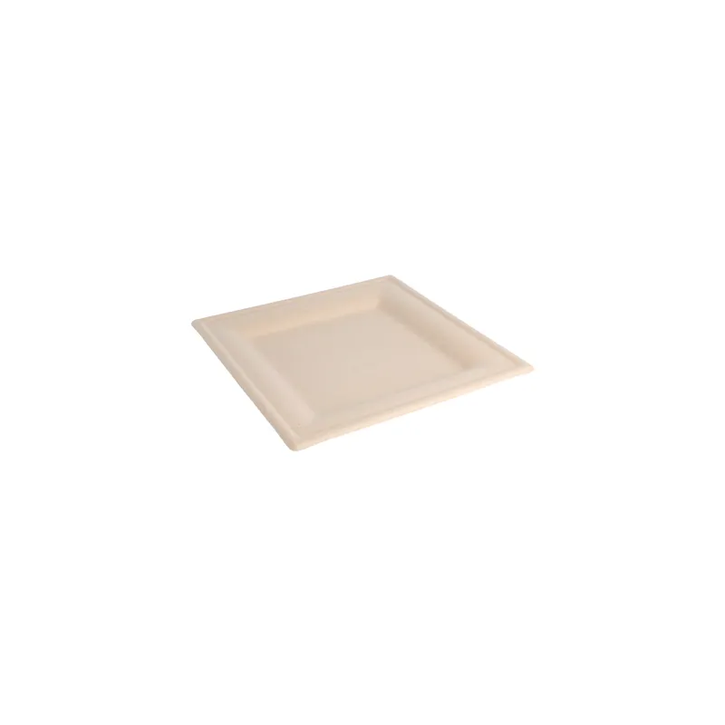 ASSIETTES CARRÉES BIONIC 20x20x1 CM NATUREL BAGASSE (500 UNITÉ) ASSIETTES CARRÉES BIONIC 20x20x1 CM NATUREL BAGASSE (500 UNITÉ)