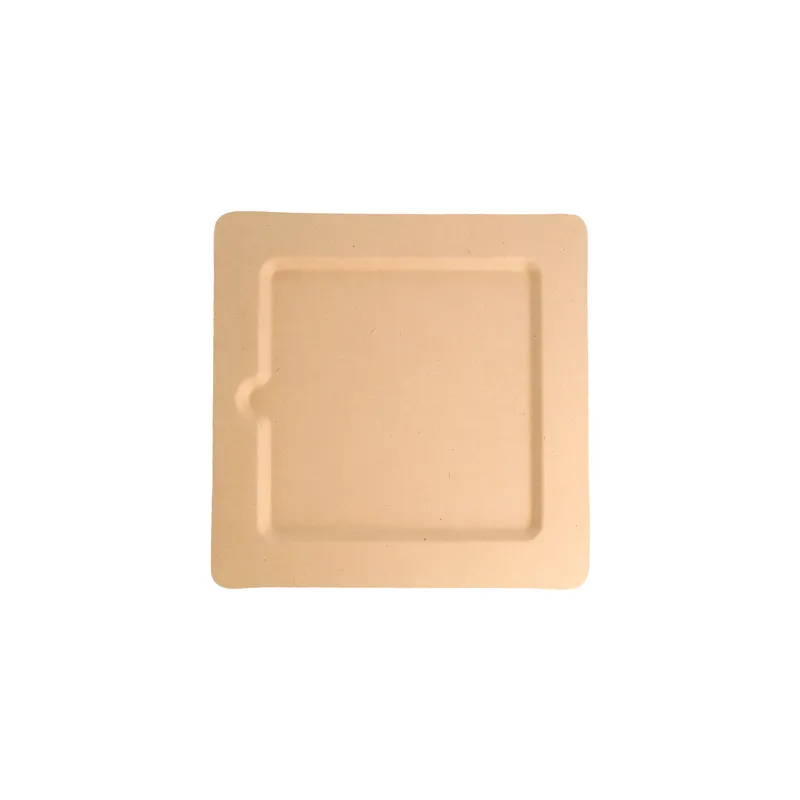 ASSIETTES CARRÉES BIONIC 20x20x1 CM NATUREL BAGASSE (200 UNITÉ) ASSIETTES CARRÉES BIONIC 20x20x1 CM NATUREL BAGASSE (200 UNITÉ)