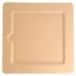 ASSIETTES CARRÉES BIONIC 20x20x1 CM NATUREL BAGASSE (200 UNITÉ) ASSIETTES CARRÉES