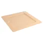 ASSIETTES CARRÉES BIONIC 20x20x1 CM NATUREL BAGASSE (200 UNITÉ) ASSIETTES CARRÉES