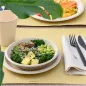 ASSIETTES CREUSES