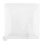 COUVERCLES POUR RÉF. 213.71 16x16x4 CM TRANSPARENT PET (400 UNITÉ) COUVERCLES POUR RÉF. 213.71