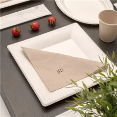 ASSIETTES CARRÉES