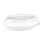 COUVERCLE POUR CODE 215.97 21x14,1x3,5 CM TRANSPARENT PET (300 UNITÉ) COUVERCLE POUR CODE 215.97