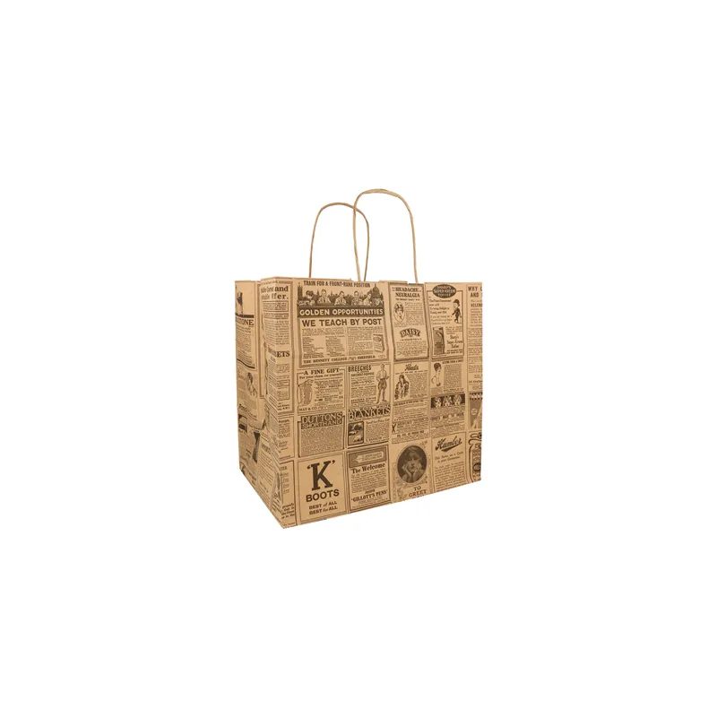 SACS SOS AVEC ANSES "TRAITEUR" 'TIMES' 80 G/M2 26+17x24 CM NATUREL KRAFT (250 UNITÉ)