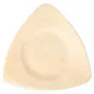 ASSIETTES TRIANGULAIRES