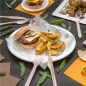 PLATEAUX OVALES