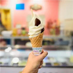 CÔNES GLACES