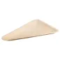 ASSIETTES TRIANGULAIRES