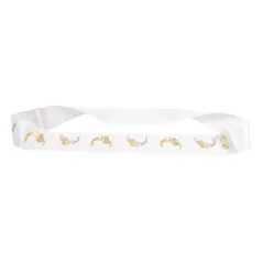 BANDES SANITAIRES WC