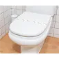 BANDES SANITAIRES WC