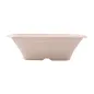BOLS CARRÉS BIONIC 700 ML 18x18x6 CM NATUREL BAGASSE (400 UNITÉ) BOLS CARRÉS