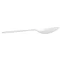 PETITES CUILLÈRES 12,7 CM BLANC CPLA (2000 UNITÉ) PETITES CUILLÈRES
