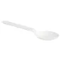 PETITES CUILLÈRES 12,7 CM BLANC CPLA (2000 UNITÉ) PETITES CUILLÈRES