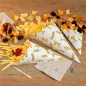 SACHETS EN POINTE 'CHIPS' 100 G 70 G/M2 24x17 CM BLANC PARCH.INGRAISSABLE (2000 UNITÉ) SACHETS EN POINTE