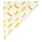 SACHETS EN POINTE 'CHIPS' 250 G 70 G/M2 29,5x21 CM BLANC PARCH.INGRAISSABLE (2000 UNITÉ) SACHETS EN POINTE