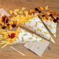 SACHETS EN POINTE 'CHIPS' 600 G 70 G/M2 42x29 CM BLANC PARCH.INGRAISSABLE (1000 UNITÉ) SACHETS EN POINTE