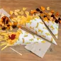 SACHETS EN POINTE 'CHIPS' 70 G 70 G/M2 20x14 CM BLANC PARCH.INGRAISSABLE (2000 UNITÉ) SACHETS EN POINTE