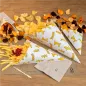SACHETS EN POINTE 'CHIPS' 40 G 70 G/M2 16x11,5 CM BLANC PARCH.INGRAISSABLE (2000 UNITÉ) SACHETS EN POINTE
