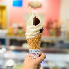 CÔNES GLACES