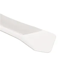PETITES CUILLÈRES POUR GLACES