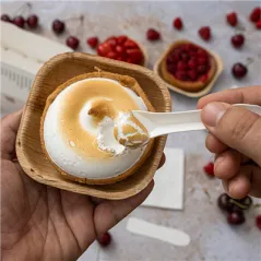 PETITES CUILLÈRES POUR GLACES