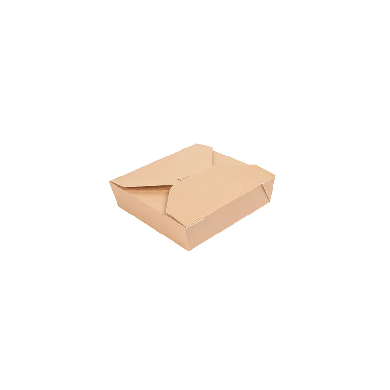 BOÎTES AMÉRICAINES MICRO-ONDABLES THEPACK 2910 ML 21,7x21,7x6 CM NATUREL CARTON NANO-MICRO + PP (100 UNITÉ)