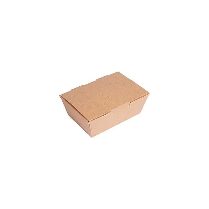 BOÎTES "LUNCH BOX" COUVERCLES THEPACK 500 ML (16 oz) 14x9,7x5 CM NATUREL CARTON NANO-MICRO (480 UNITÉ)