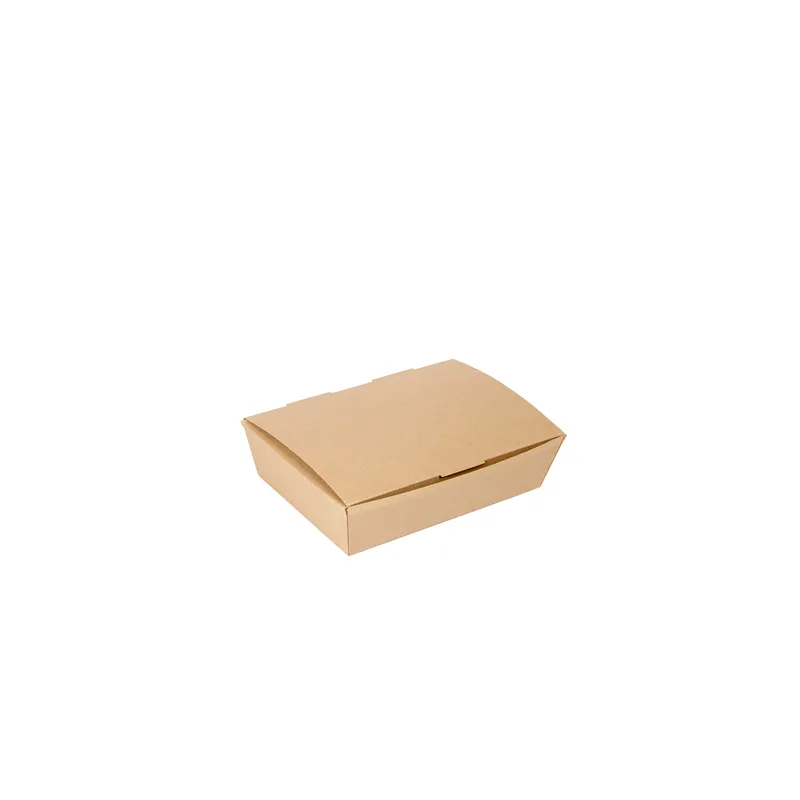 BOÎTES "LUNCH BOX" COUVERCLES THEPACK 1500 ML (48 oz) 21x18x5,5 CM NATUREL CARTON NANO-MICRO (360 UNITÉ)