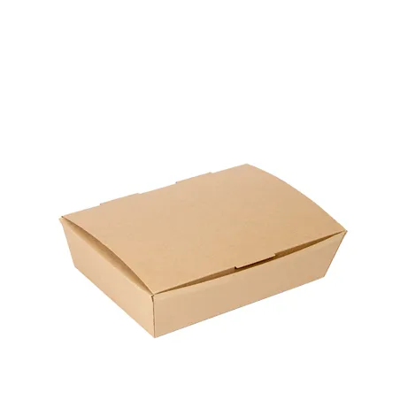 BOÎTES "LUNCH BOX" COUVERCLES